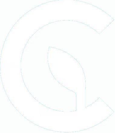 Casalyin Logo